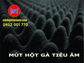 Mút hột gà tiêu âm chống cháy lan 