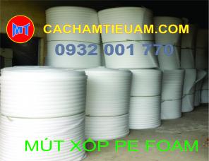 Mút PE foam - Mút xốp bọc lót hàng 